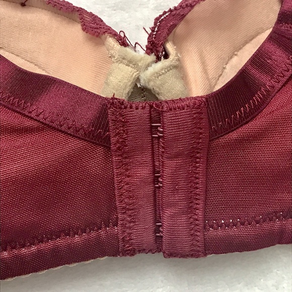 LittleBra Co Burgundy Pushup Francesca Bra 32B NWT - Picture 4 of 10